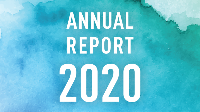 Annual report 2020