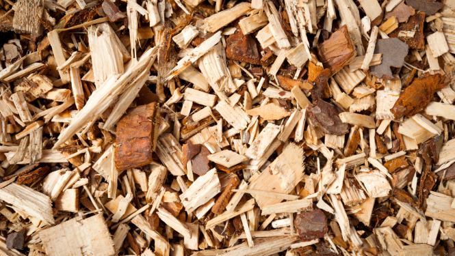Wood chip market